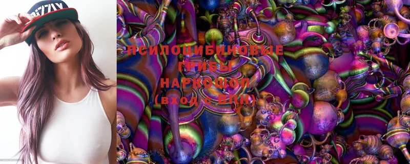 Псилоцибиновые грибы MAGIC MUSHROOMS  OMG онион  Чишмы 